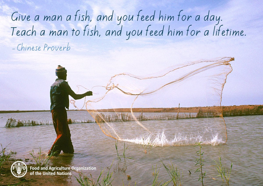 Give a man a fish